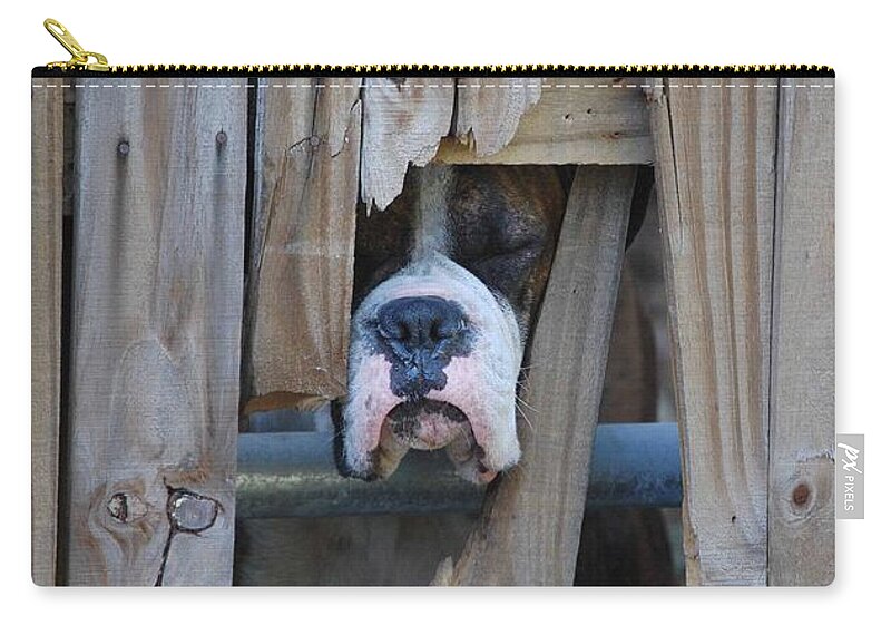 Boxer Zip Pouch featuring the photograph Psst Help Me Outta Here by DigiArt Diaries by Vicky B Fuller