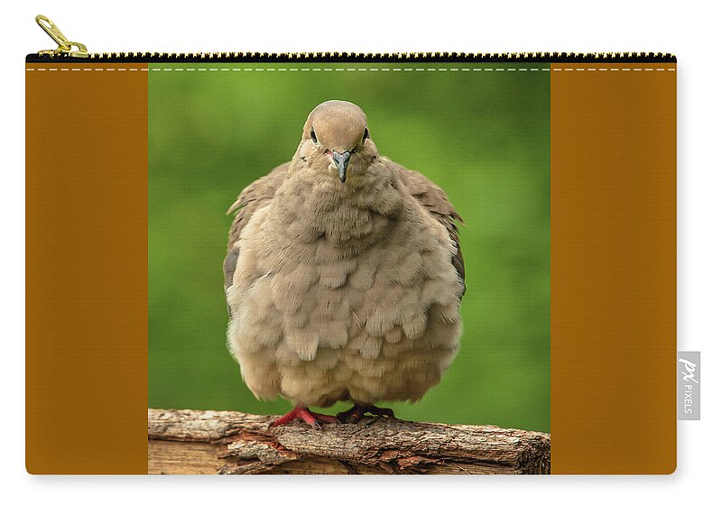 Alexandria Zip Pouch featuring the photograph Puffed Dove by Jim Moore