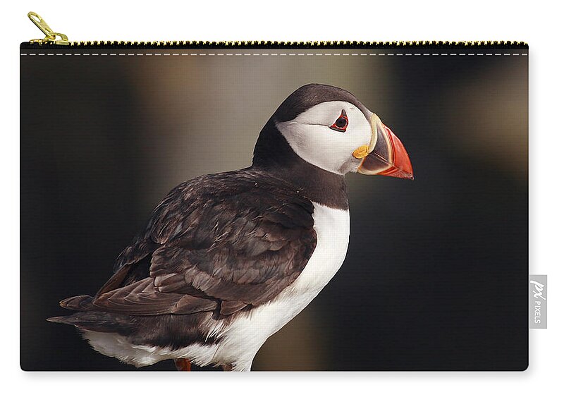 Puffin Zip Pouch featuring the photograph Puffin on rock by Grant Glendinning