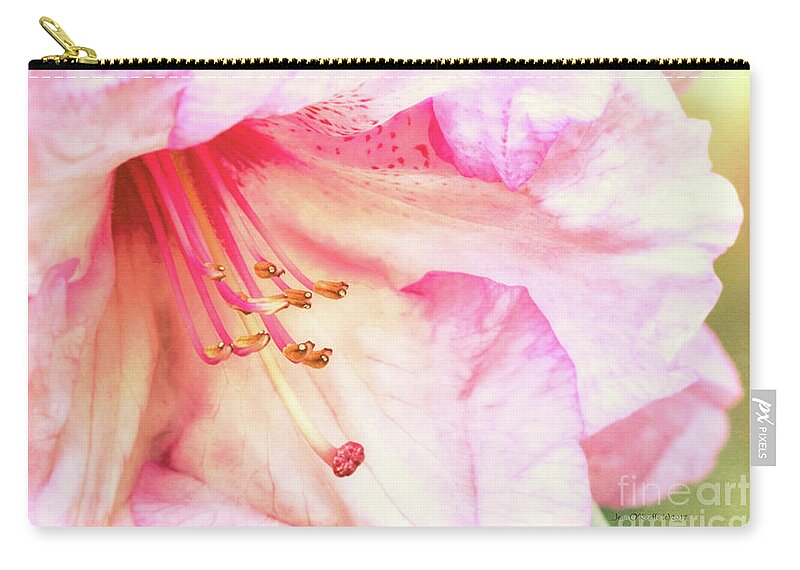 Pacific Zip Pouch featuring the digital art Puget Sound Rhododendron by Jean OKeeffe Macro Abundance Art