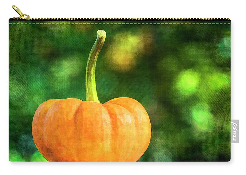Pumpkin Carry-all Pouch featuring the photograph Pumpkin by Cathy Kovarik