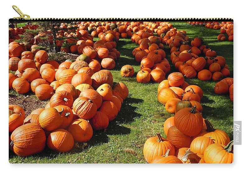 Pumpkin Zip Pouch featuring the photograph Pumpkin - Happy Thanksgiving by Debbie Oppermann