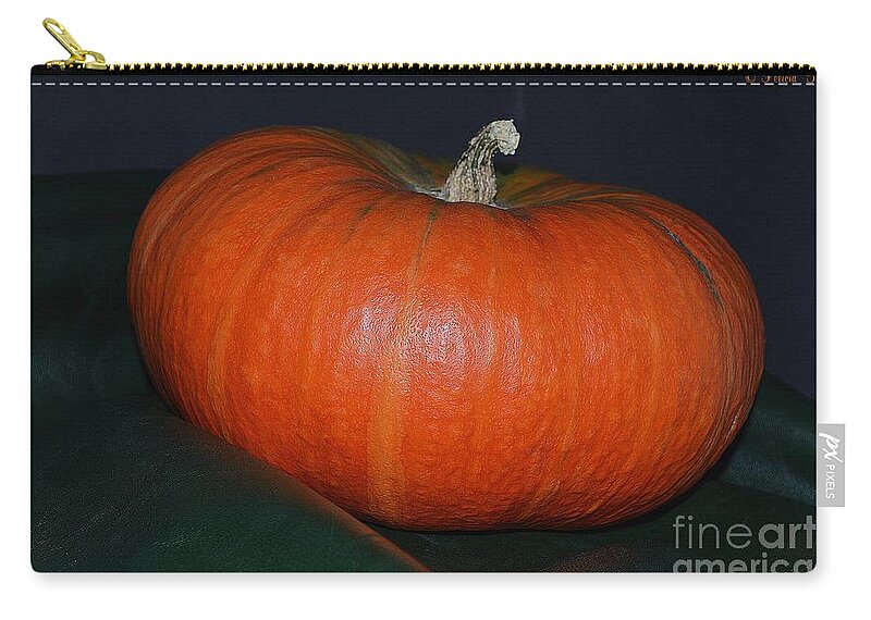 Seasonal Zip Pouch featuring the photograph Pumpkin Season by Felicia Tica
