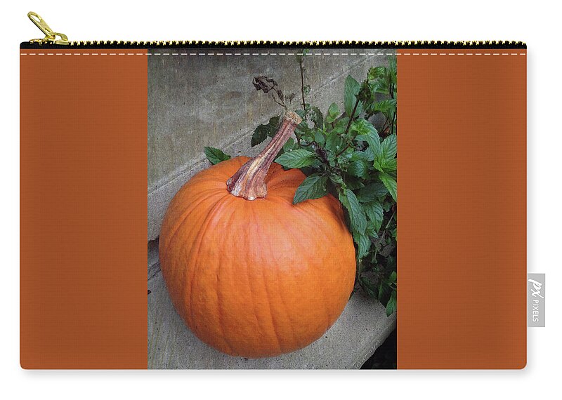 Pumpkin Zip Pouch featuring the photograph Pumpkin by Terri Harper