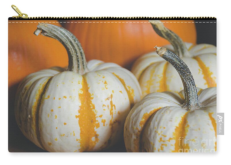 Holidays Zip Pouch featuring the photograph Pumpkins 8 by Andrea Anderegg