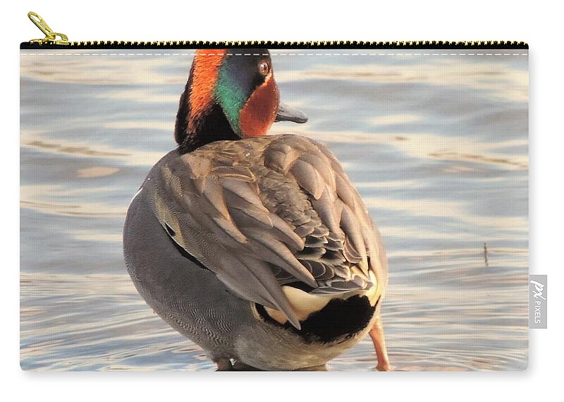 Duck Zip Pouch featuring the photograph Punk Duck by Douglas Coiner