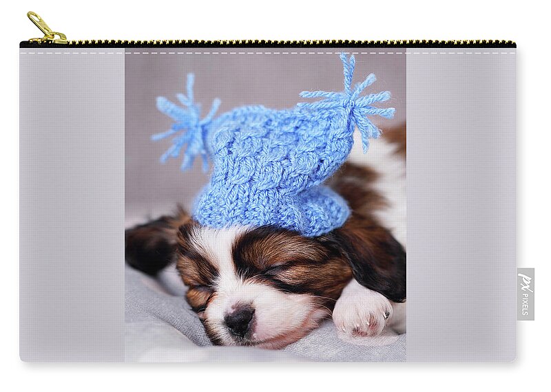 Iuliia Malivanchuk Zip Pouch featuring the photograph puppy in a knitted hat by Iuliia Malivanchuk by Iuliia Malivanchuk