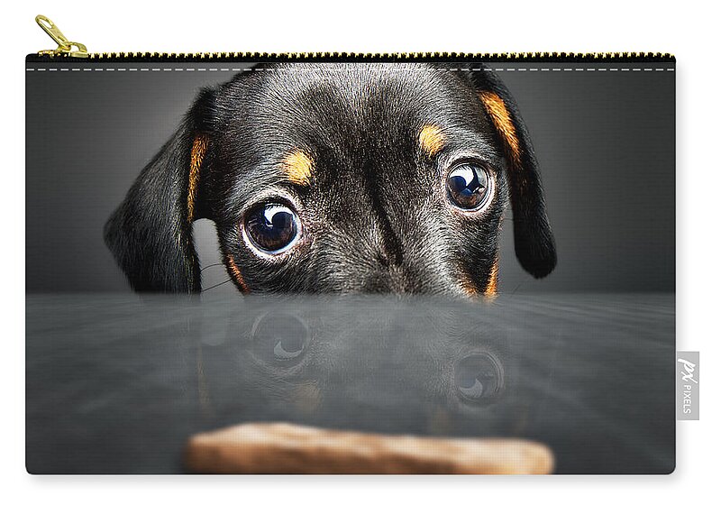 Puppy Carry-all Pouch featuring the photograph Puppy longing for a treat by Johan Swanepoel