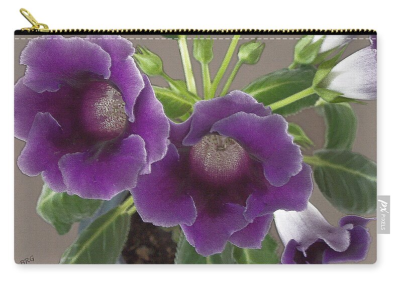 Purple Flower Zip Pouch featuring the photograph Purple African Violet by Ben and Raisa Gertsberg