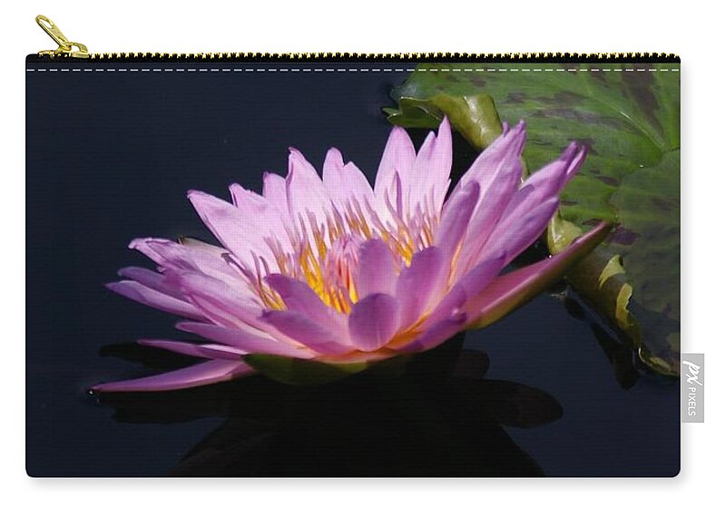 Purple Zip Pouch featuring the photograph Purple and Yellow Lotus Waterlily by Jackie Irwin