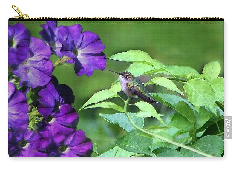 Bird Zip Pouch featuring the photograph Purple Attraction by Barbara S Nickerson