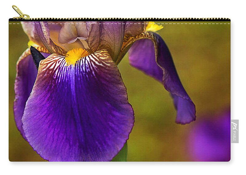 Purple Bearded Iris Print Zip Pouch featuring the photograph Purple Bearded Iris Print by Gwen Gibson