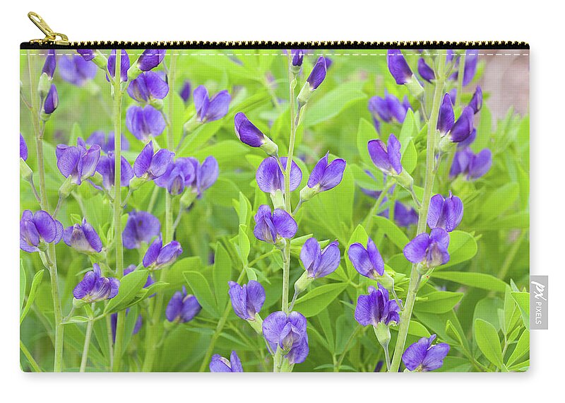 Dunbar Cave State Park Zip Pouch featuring the photograph Purple Beauties by John Benedict