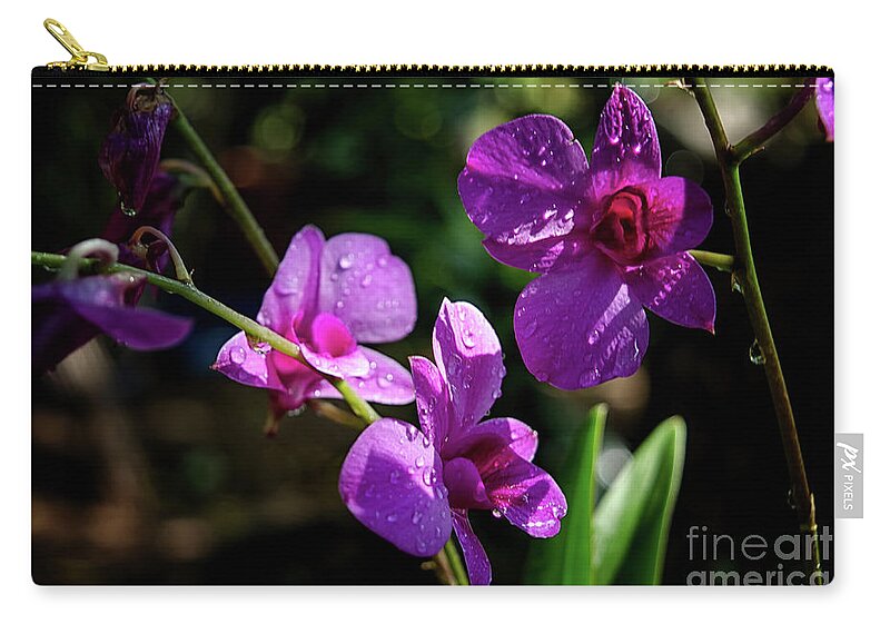 Michelle Meenawong Zip Pouch featuring the photograph Purple Beauty by Michelle Meenawong