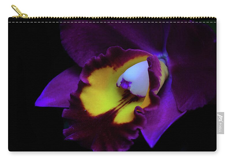 Cleveland Botacinal Gardens Zip Pouch featuring the photograph Purple Beauty by Stewart Helberg