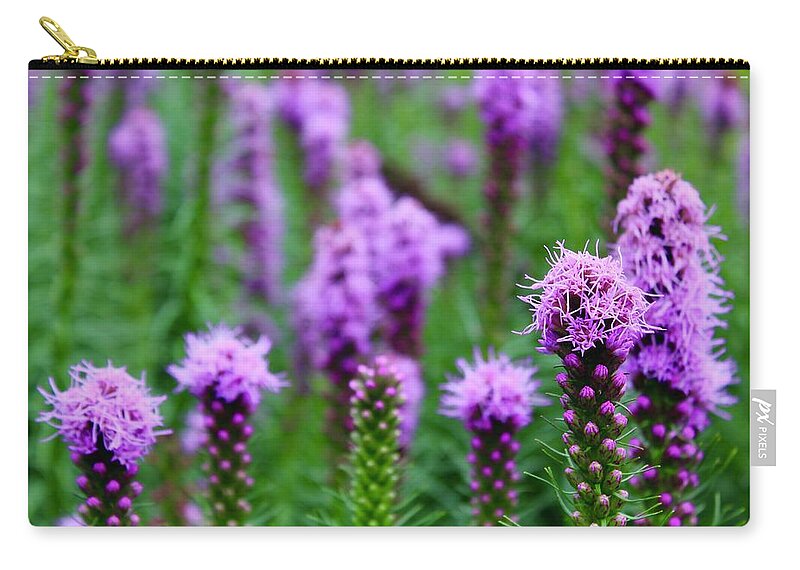 Photograph Zip Pouch featuring the photograph Purple Blazing Stars by M E