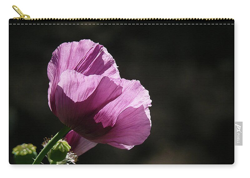 Purple Zip Pouch featuring the photograph Purple Blessing by Evelyn Tambour
