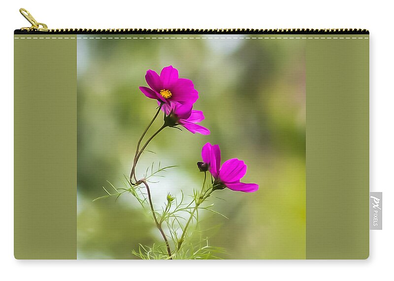 Terry D Photography Zip Pouch featuring the photograph Purple Cosmos Flowers Square by Terry DeLuco
