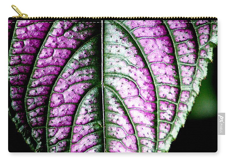 Purple Zip Pouch featuring the photograph Purple by David Weeks