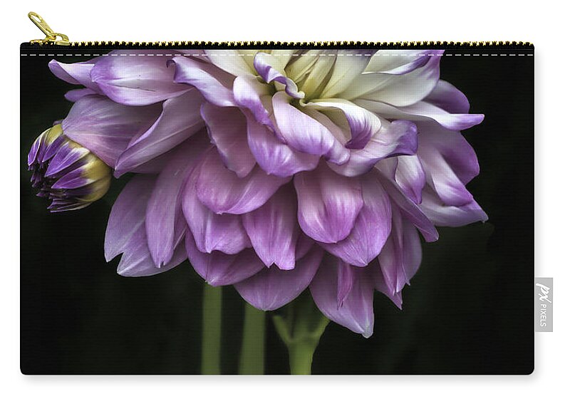 Purple Daze Zip Pouch featuring the photograph Purple Daze by Wes and Dotty Weber