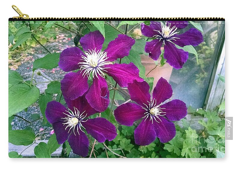 Floral Zip Pouch featuring the photograph Purple flowers by Steven Wills