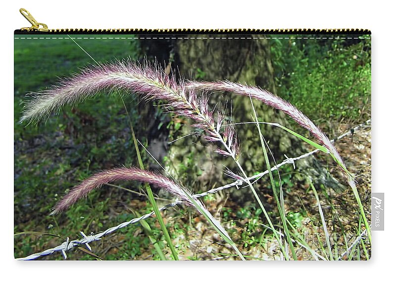 Ornamental Grass Zip Pouch featuring the photograph Purple Fountain Grass by D Hackett