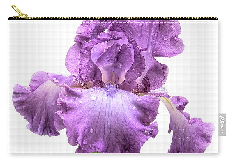Bearded Iris Zip Pouch featuring the photograph Purple Iris After the Rain by David and Carol Kelly