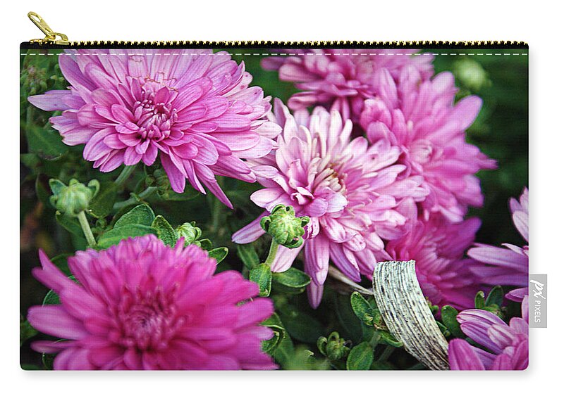 Flowers Zip Pouch featuring the photograph Purple Mums by Cricket Hackmann