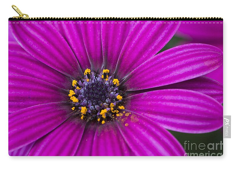 Flower Zip Pouch featuring the photograph Purple Passion by Andrea Silies
