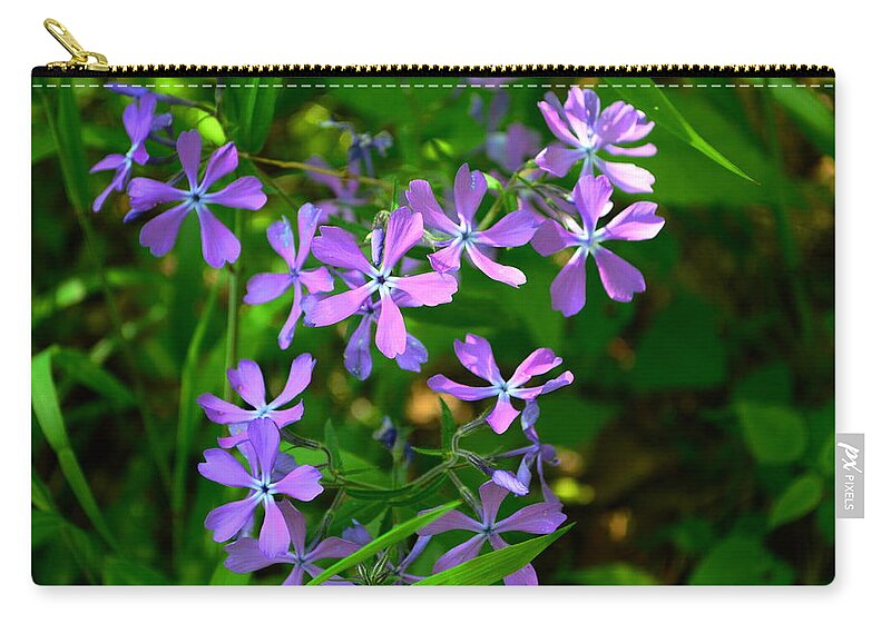 Phlox Carry-all Pouch featuring the photograph Purple Phlox in the Woods by Stacie Siemsen