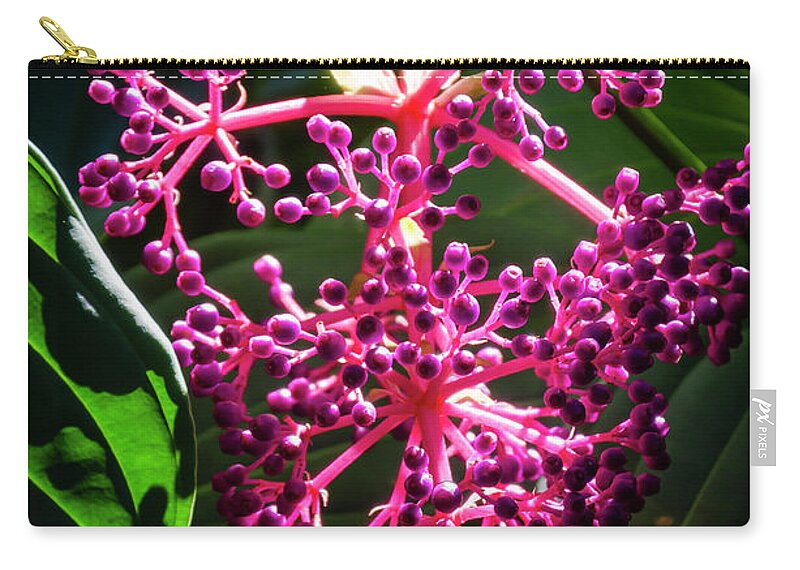 Flowers Zip Pouch featuring the photograph Purple Plant by Daniel Murphy