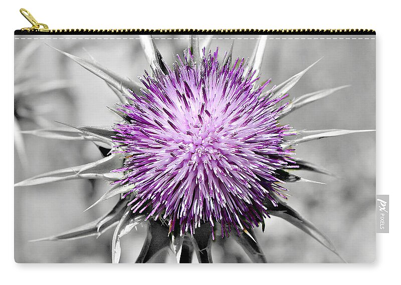500 Views Zip Pouch featuring the photograph Purple Scrub by Jenny Revitz Soper