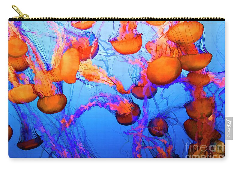 Jelly Fish Zip Pouch featuring the photograph Purple Striped Jelly Fish I by Chuck Kuhn