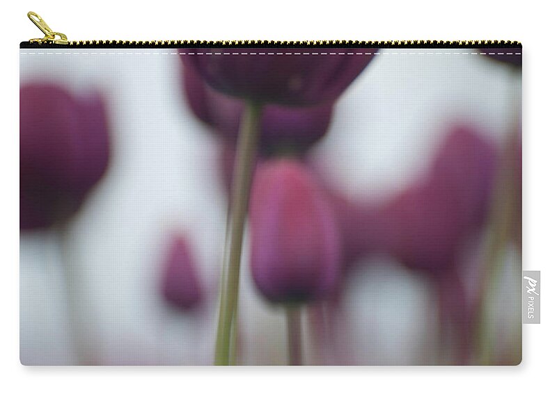 Tulips Zip Pouch featuring the photograph Purple Tulips Abstract by Jani Freimann