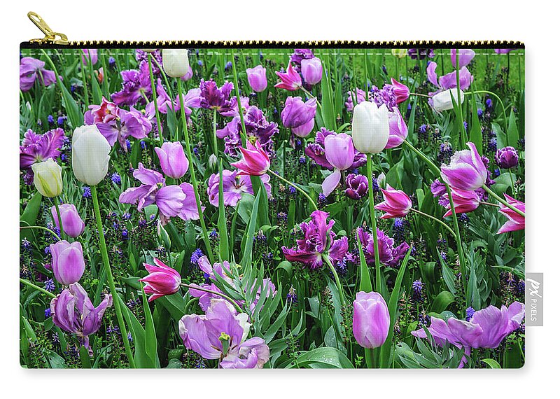 Jenny Rainbow Fine Art Photography Zip Pouch featuring the photograph Purple Tulips in Keukenhof by Jenny Rainbow