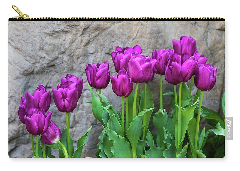 Flower Zip Pouch featuring the photograph Purple Tulips by Tom Mc Nemar