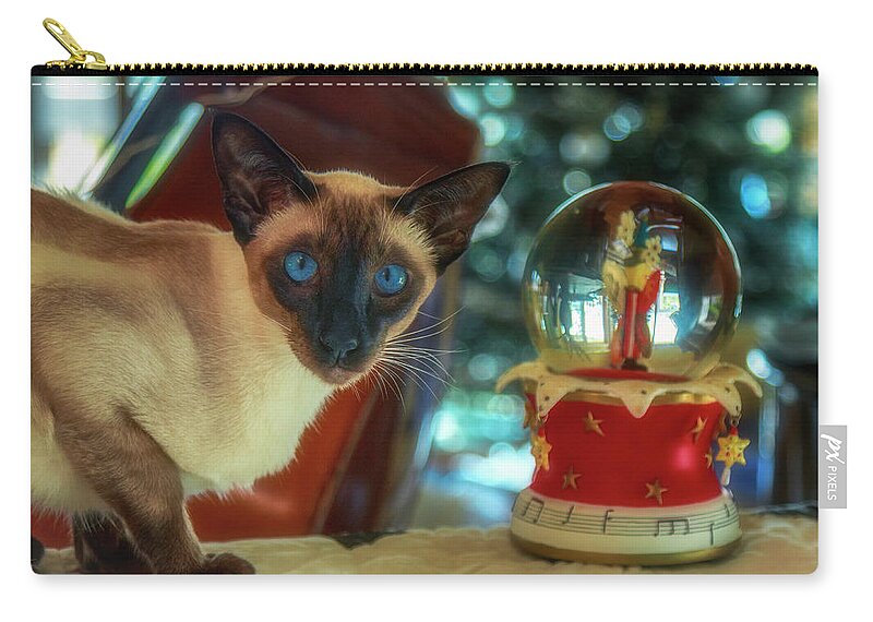 Cat Zip Pouch featuring the photograph Purr-fect Christmas by Jade Moon