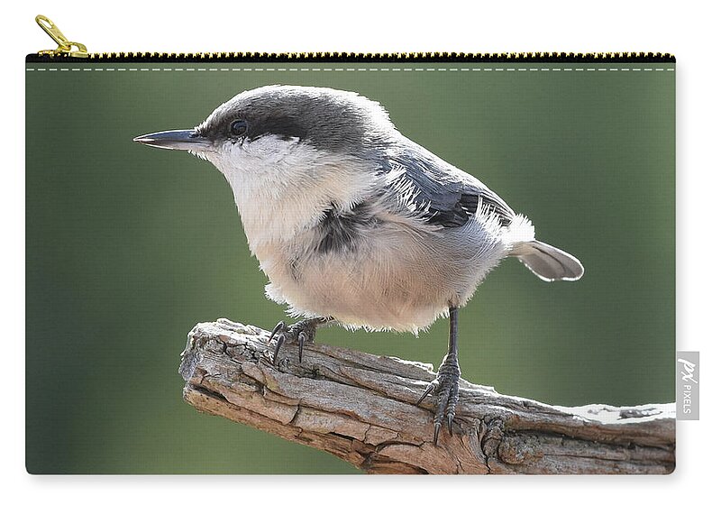 Nuthatch Zip Pouch featuring the photograph Pygmy Nuthatch by Ben Foster