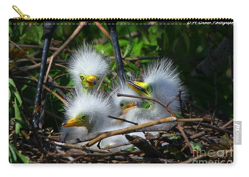 Great White Egret Zip Pouch featuring the photograph Quadruplets by Barbara Bowen