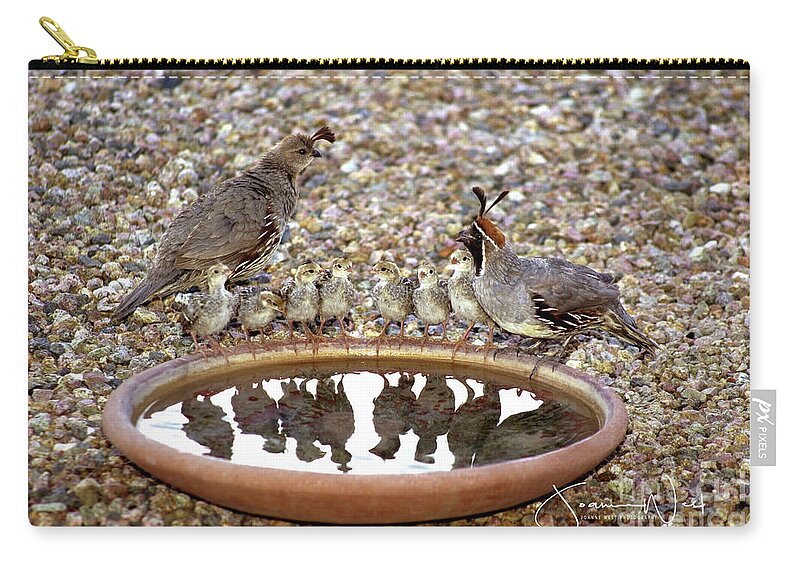 Quail Zip Pouch featuring the photograph Quail Family Gathering AZ by Joanne West
