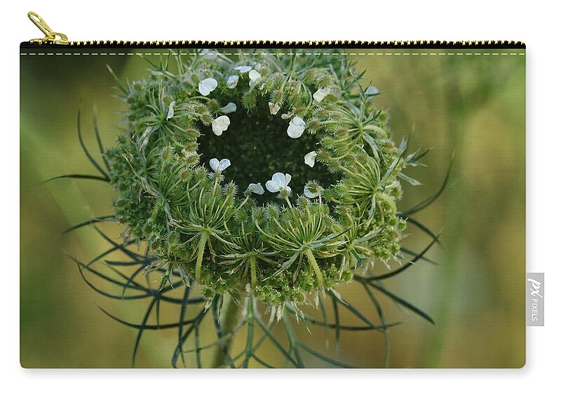 Queen Anne's Lace Zip Pouch featuring the photograph Queen Anne's Little Nest Of Treasures by I'ina Van Lawick