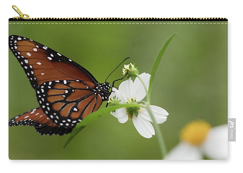 Butterfly Zip Pouch featuring the photograph Queen Drinking Nectar by Artful Imagery