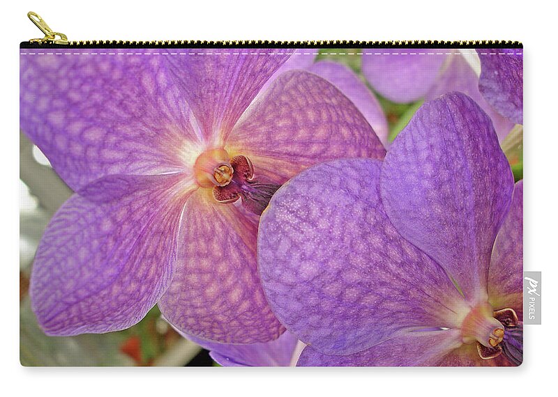 Orchids Zip Pouch featuring the photograph Quiet Grace 2 by Lynda Lehmann