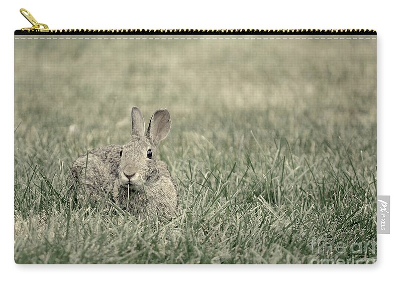 Rabbits Zip Pouch featuring the photograph Rabbit in the Grass by Jason Freedman