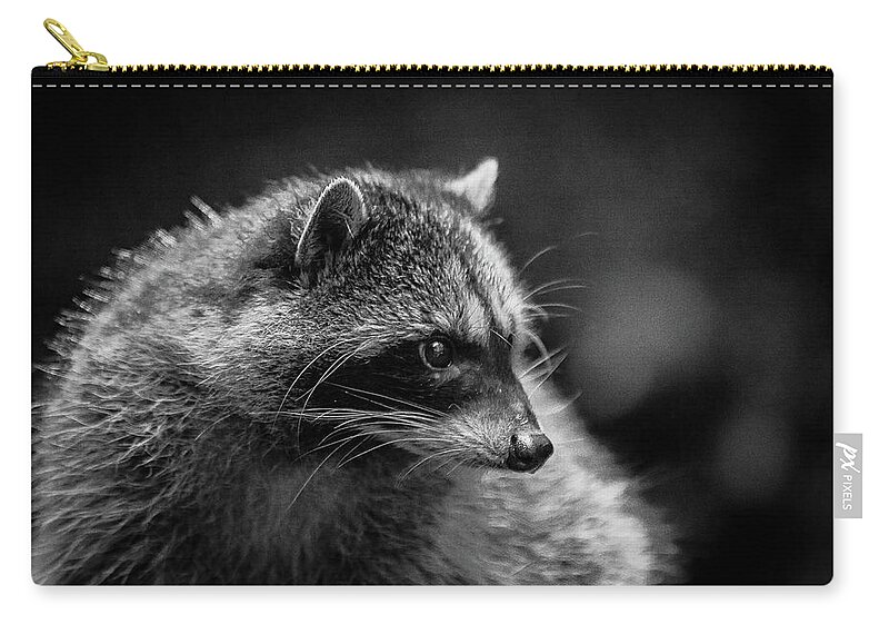Wildlife Zip Pouch featuring the photograph Raccoon 3 by Jason Brooks