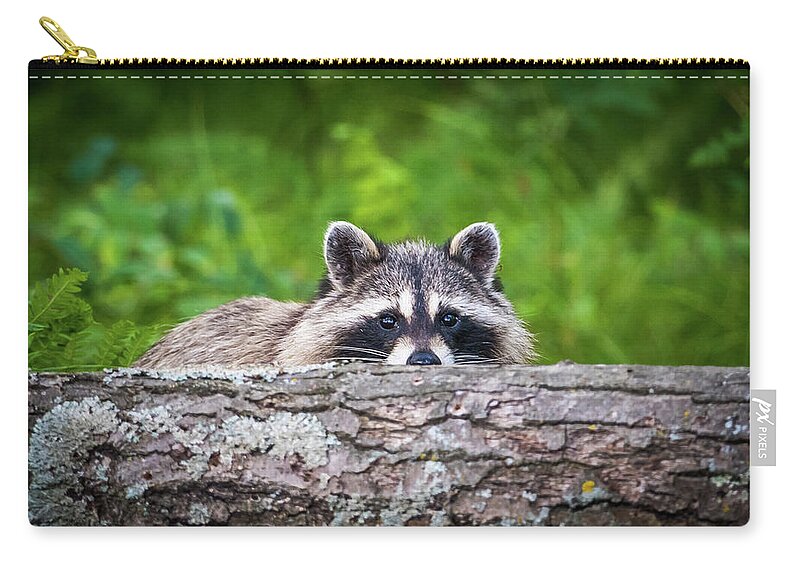 Racoon Zip Pouch featuring the photograph Racoon Hiding by Paul Freidlund