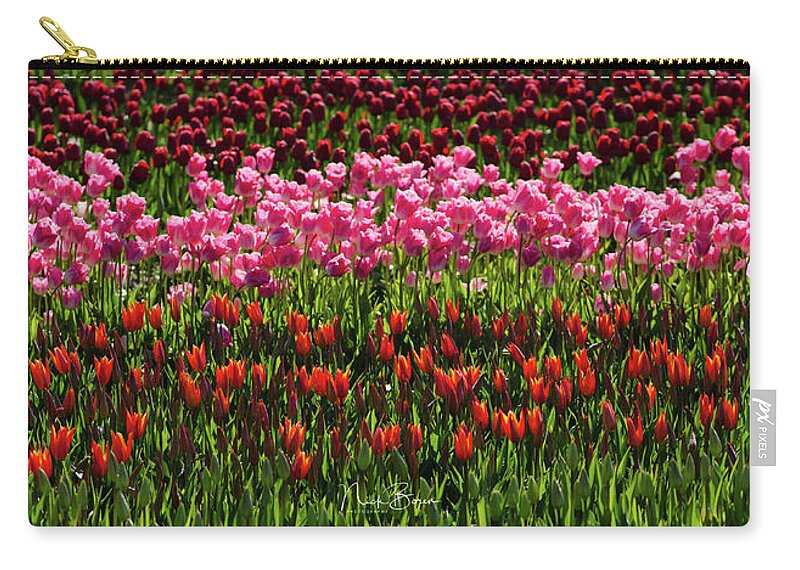 Tulips Zip Pouch featuring the photograph Radiant Beauties by Nick Boren