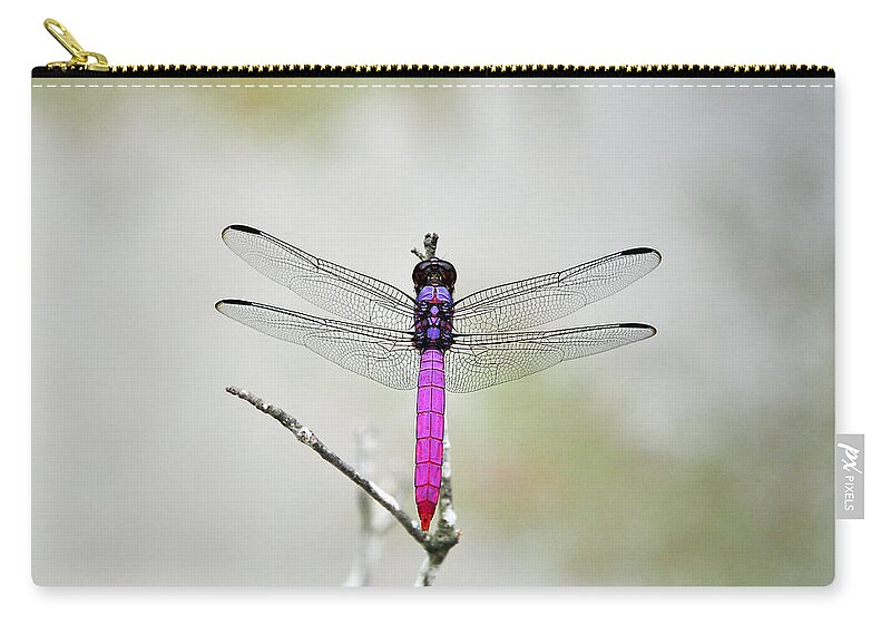 Pink Dragonfly Zip Pouch featuring the photograph Radiant Roseate by Al Powell Photography USA