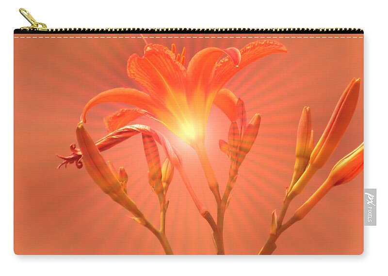 Day Lily Carry-all Pouch featuring the mixed media Radiant Square Day Lily by Kae Cheatham