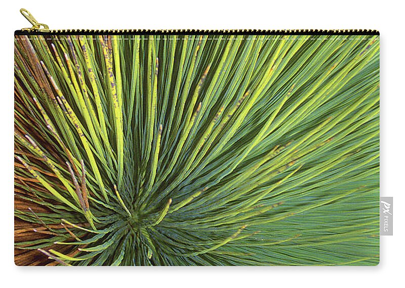 Radiate Zip Pouch featuring the photograph Radiating by Ted Keller